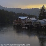 _DSC1769-Edit