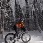 _DSC7412