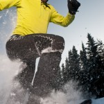 _DSC8558