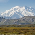 _DSC3147