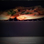 salmon