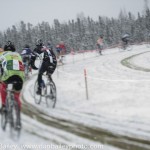 _DSC8294