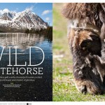 Holland American Mariner Magazine Yukon article