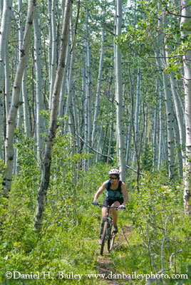 Mountain biking through aspens