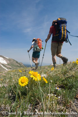 hiking in the Rawahs