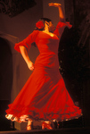 flamenco