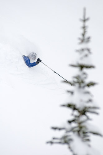 Backcountry Skiing Photos, Rogers Pass, Canadian Rockies