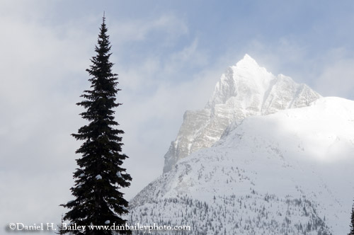 Backcountry Skiing Photos, Rogers Pass, Canadian Rockies