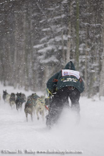 Sled Dog Racing, Anchorage, Alaska