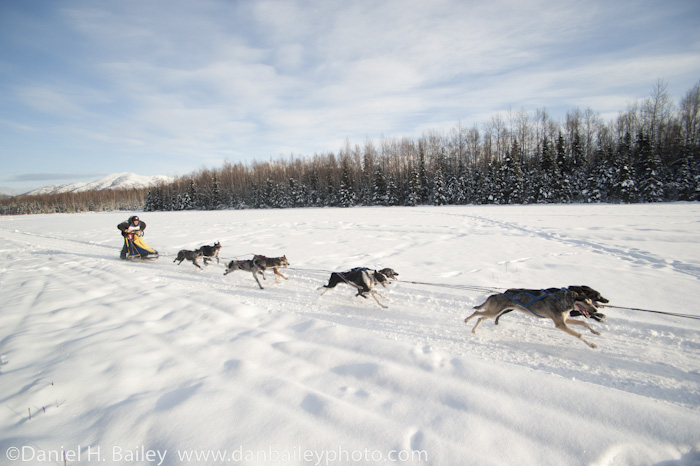 3 Tips for Shooting Sled Dog Racing... or Any Action Photos | Dan ...