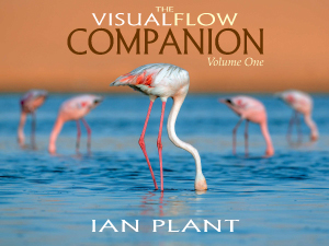 Visualflow companion